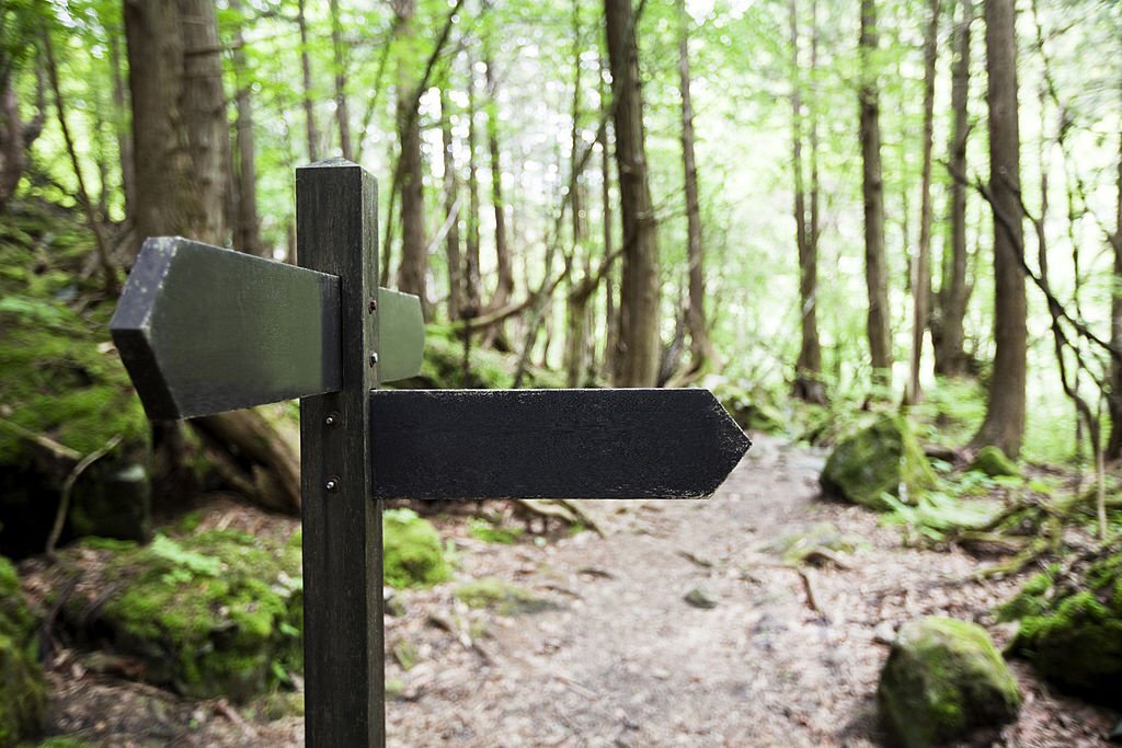 Switchbacks hiking trail markers