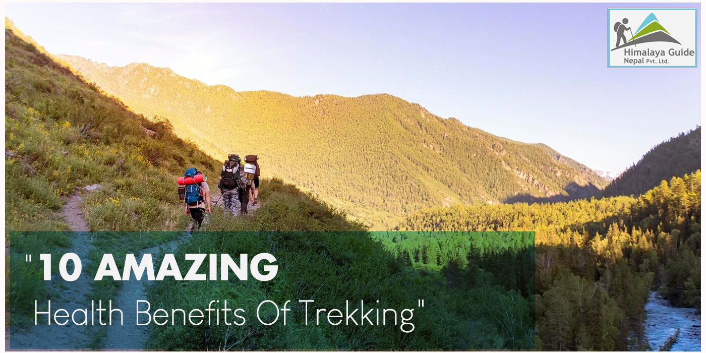 Amazing Health Benefits Of Trekking