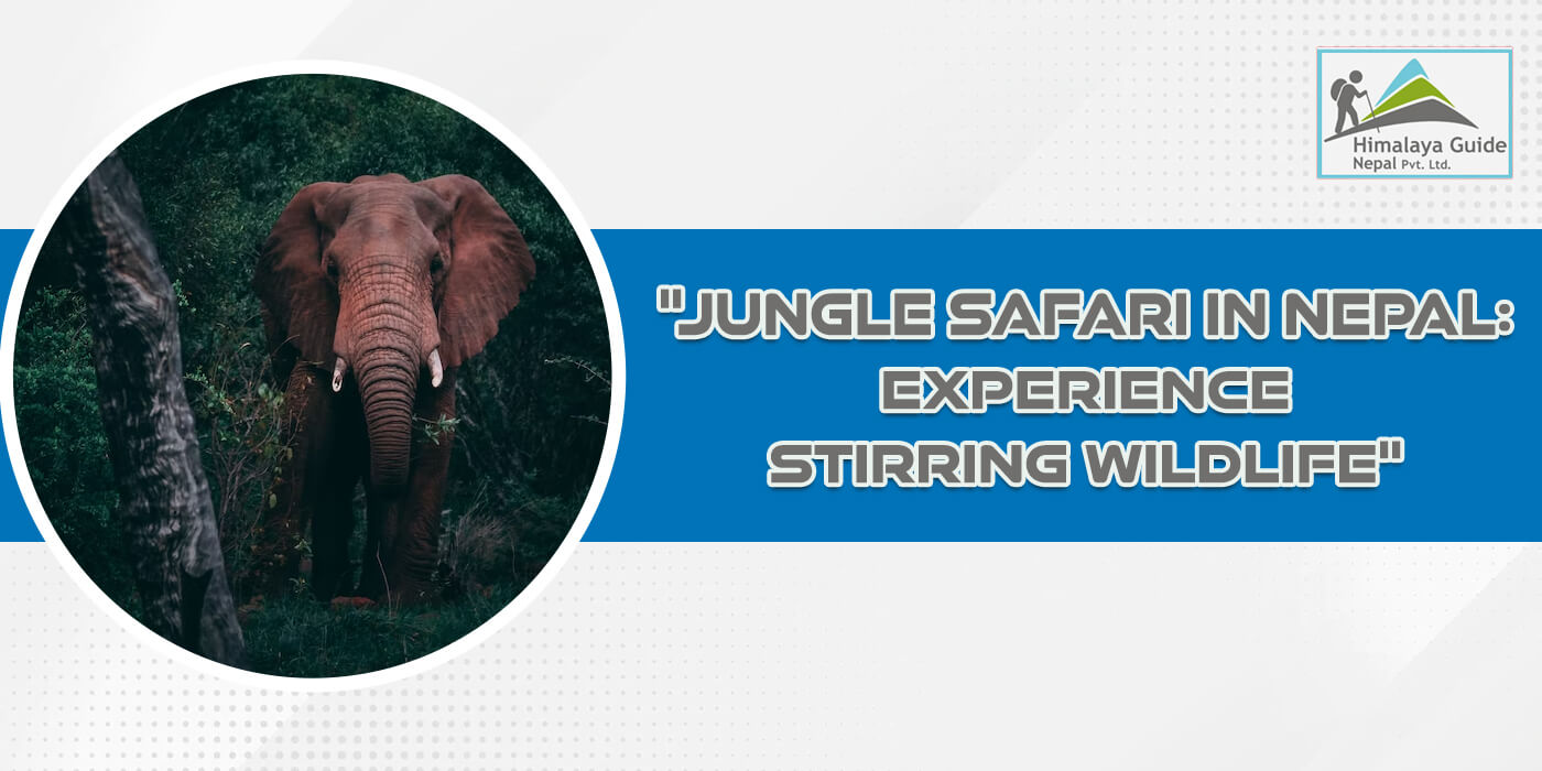 Jungle Safari in Nepal: Experience Stirring Wildlife