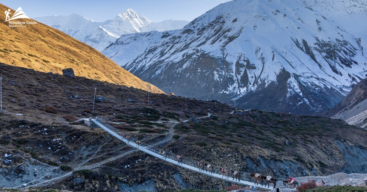 Samagaon Acclimatization During Manaslu Circuit Trek 1 bridge-in-manaslu-circuit-trek