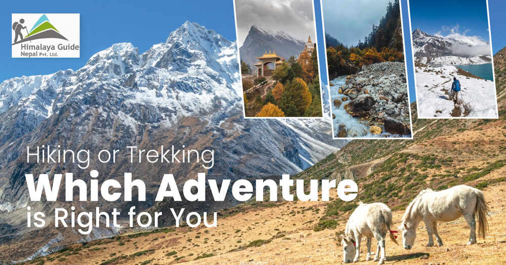 Hiking vs Trekking: Which Adventure is Right  For You?