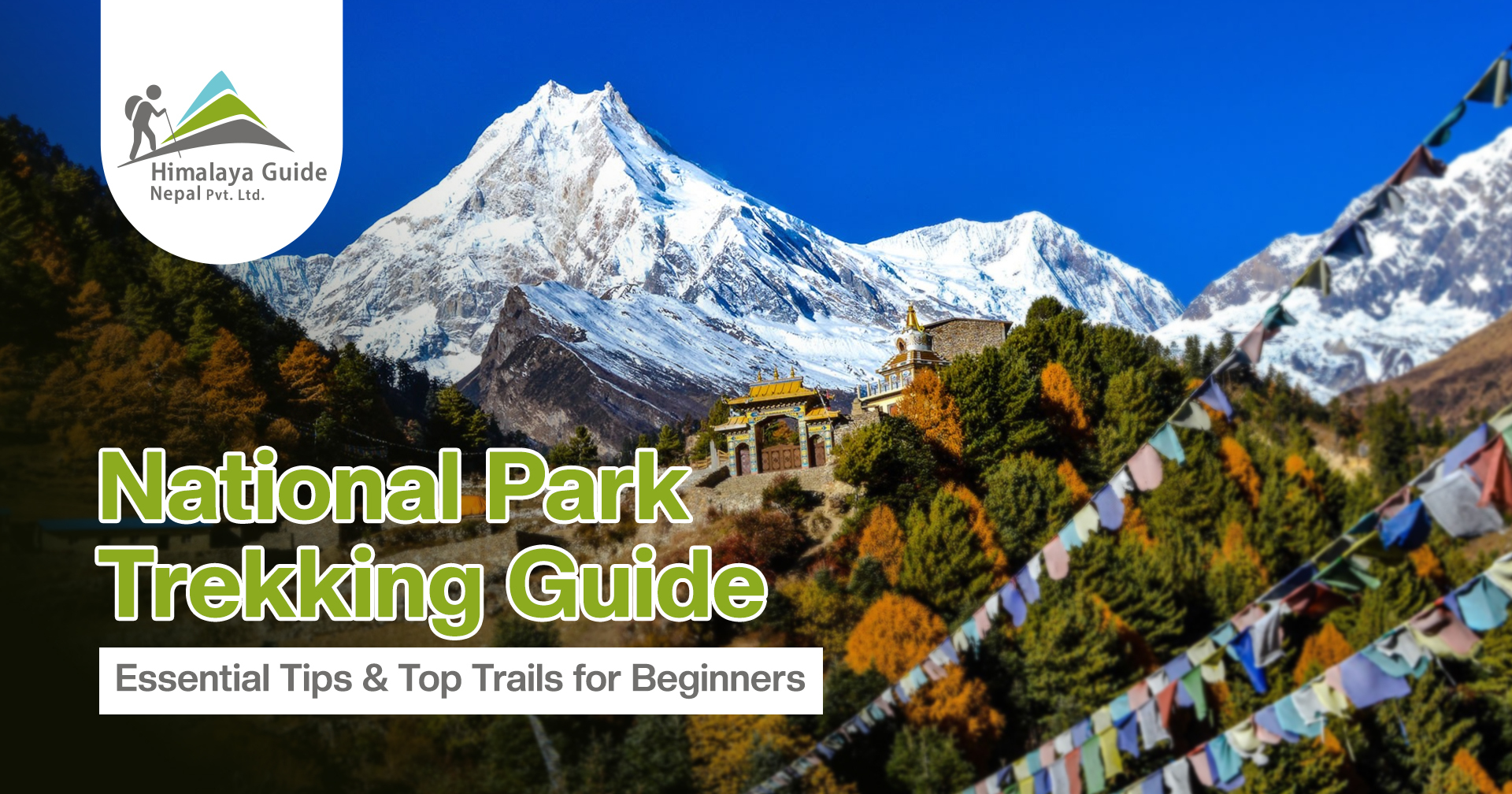 National Park Trekking Guide: Essential Tips & Top Trails for Beginners